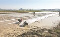 龙虎山景区龙虎山镇全力推进早稻生产，今年秧田面积预计增长三成以上