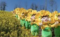 婺源旅游开启赏花模式，油菜花精灵成婺女洲新宠