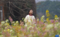 南昌：彩色油菜花田春光正好（图）