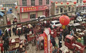 道地药苗成市场香饽饽　甘肃华亭特色产业促振兴