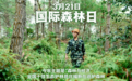 国际森林日︱守护青山，就是守护你的每一次呼吸