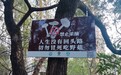 野生蘑菇不要采，深圳已报告2起自行采食中毒事件