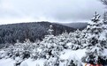 水墨太子山：一雪覆林海　丹青入静峦