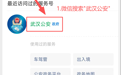 武汉市公安局110报警服务台开通微信报警功能