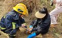 看着都疼！萍乡一女子上山挖笋被困捕兽夹（图）