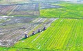宁都县：抢抓农时春耕忙（图）