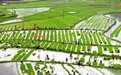 建行助力春耕备耕 奏响“奋进曲” 建湘轩