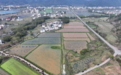 赣州信丰县3000亩清水稻田生态龙虾迎来丰收