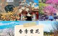 花花花人花花花！烟台的春天被花包围了
