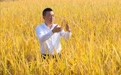 从律师到“稻长”：新农人吴斌扎根孝感耕出粮安新篇