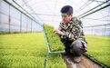 2万亩早稻的“智慧车间”，德兴春耕进入工业4.0时代