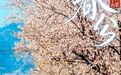 春分栾川：春和景明，万物可期！