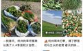 不要采！杭州野外正大量出现，姑娘贪嘴多吃，被紧急送医抢救