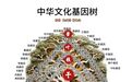 美丽基因：文明基因演进的审美巅峰与终极形态