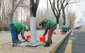 哈尔滨市城管园林部门春季整治同步提升城市颜值与出行安全