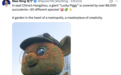 外交部发言人毛宁点赞杭州！“这次真火到国外了…”