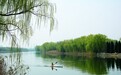 临沂：白马河湿地美如画