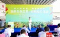 海南冬季瓜菜辣椒推介活动在澄迈金江“火辣”举行