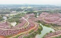 芦溪县：万株樱花竞相绽放（图）