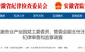 安徽省纪委监委通报！