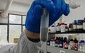 一粒樟树籽的逆袭！江西科研团队用黑科技“点油成金”