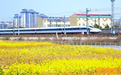 清明假期，南铁计划加开旅客列车1077列