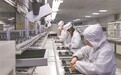 吉安培育壮大千亿产业集群 去年电子信息产业营收突破2400亿元