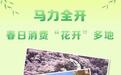 马力全开！春日消费“花开”多地