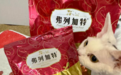 弗列加特适口性好不好？我家猫的梦情！