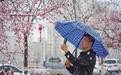 兰州新区市民打卡春雪享浪漫