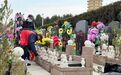 吉林市多措并举打造“暖心清明”