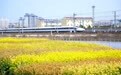 清明假期南铁预计发送旅客650万人次，凭票根游景区可享折扣优惠