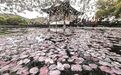 11级大风，短时暴雨！浙江大范围强对流天气今天持续