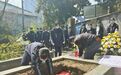 坚持12年！余姚师生为304位无名逝者在青山间“安家”