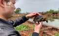 龟谷鳖老黄缘龟，互动养成法实测