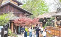 庐山市：亲近大自然 乐享假期（图）