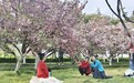 郏县青龙湖公园：晚樱盛绽绘春色 湖光花影两相宜