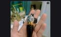 店铺突然清空！知名品牌结束运营！网友:当时有多爱 现在有多悔