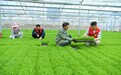 宁都县：工厂化育秧助力春耕生产（图）