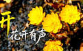 长春净月高新区原创短片《等一朵“花”开的时间》上线啦