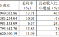 江淮汽车扣非净利九连亏，乘用车产能闲置过半，靠尊界增收难解亏损困局