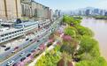兰州黄河风情线：最美赏花季　市民踏春忙