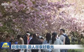 聚焦16次！跟着央视春游河南