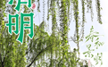 春和景明，万物皆显，栾川踏青正当时！