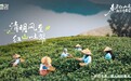 春深茶正香！来自仁化红山的一口春鲜