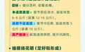 科学管麦促丰产！2026年山东小麦中后期管理技术来啦