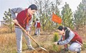 都昌县：义务植树（图）