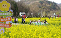 清明陇上江南“花”式圈粉　游客秒切夸夸模式