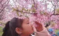 走进春光 寻找身边的美——定远县藕塘小学组织学生开展春日赏樱花主题实践活动