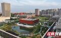 一粒种子的 “湖南功夫”